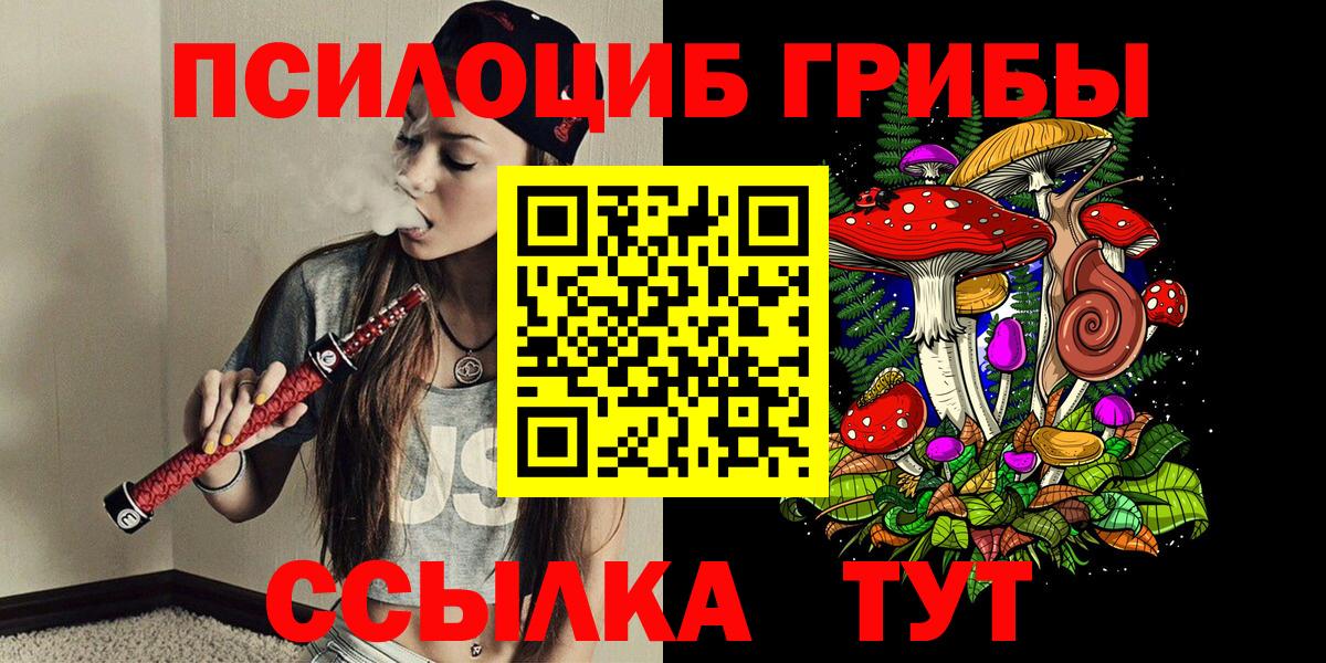 Междуреченск  Псилоцибиновые грибы Magic Shrooms  Вход с VPN  Галлюциногенные грибы мицелий 