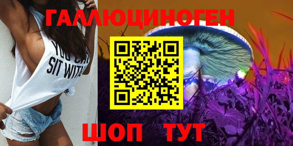 Галлюциногенные грибы Psilocybe Междуреченск